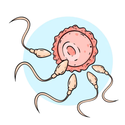 Damaged Sperm Ducts Treatment in Lucknow India